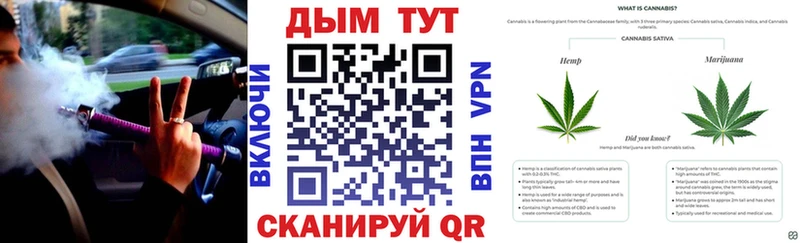 Бошки марихуана MAZAR  Устюжна 